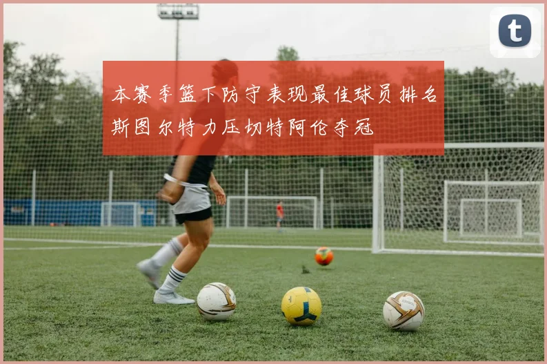本赛季篮下防守表现最佳球员排名斯图尔特力压切特阿伦夺冠